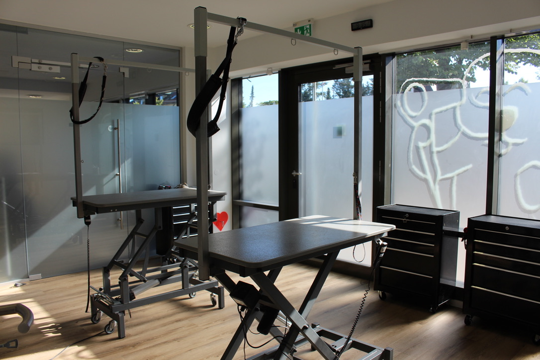 Höhenverstellbare Groomingtische im Salon